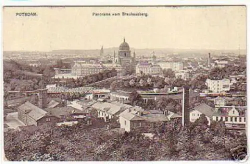 03987 Ak Potsdam Panorama vom Brauhausberg 1910