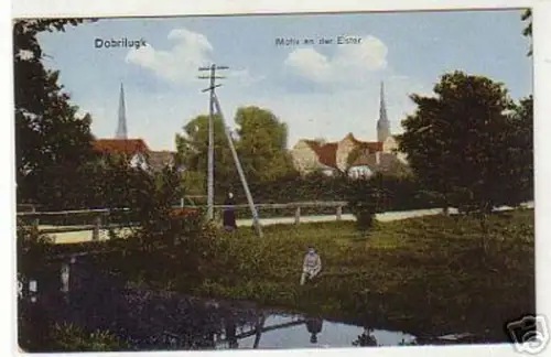 12249 Ak Dobrilugk Motiv an der Elster 1918