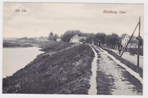 93417 AK Mühlberg (Elbe) - Alte Elbe, Dammblick