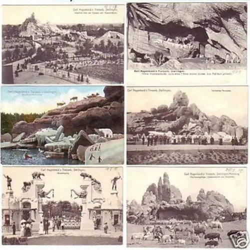 11403/6 Ak Carl Hagenbeck´s Tierpark Stellingen um 1910