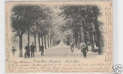 25572 Ak Bad Nauheim Park Allee 1898