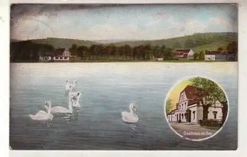 52770 Ak Hainspitz am See Gasthaus 1907