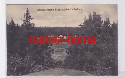 81914 Ak Sommerfrische Langenleuba-Niederhain 1919