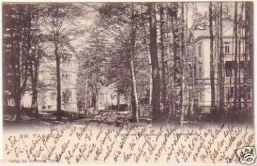 20867 Ak Gr. Tabarz Partie mit Schiesshaus 1904