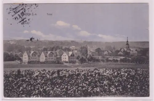 95023 Ak Treben in Thüringen Totalansicht 1915