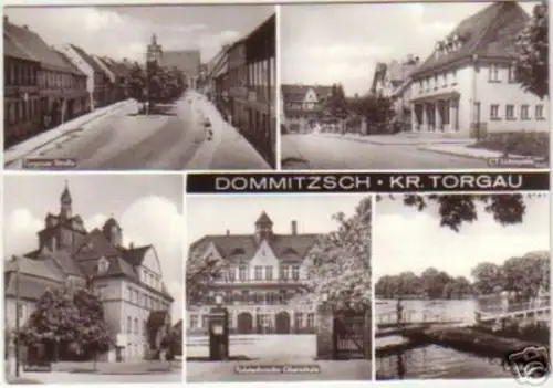 12133 Mehrbild Ak Dommitzsch Kreis Torgau
