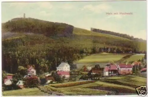 27886 Ak Hain im Hochwald Totalansicht 1915