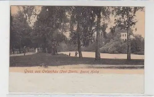30019 Ak Gruss aus Oelzschau Ortsansicht 1905
