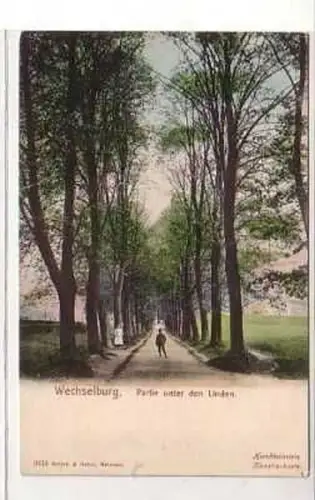38547 Ak Wechselburg Partie unter den Linden um 1900