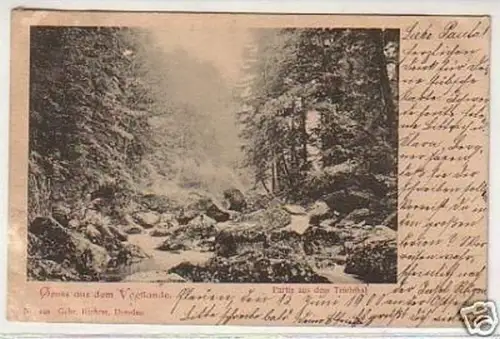 15521 Ak Gruß aus dem Vogtlande Triebthal 1900
