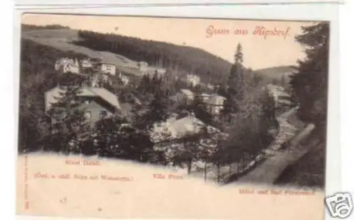 25595 Ak Gruß aus Kipsdorf Hotel Halali & Villa Flora