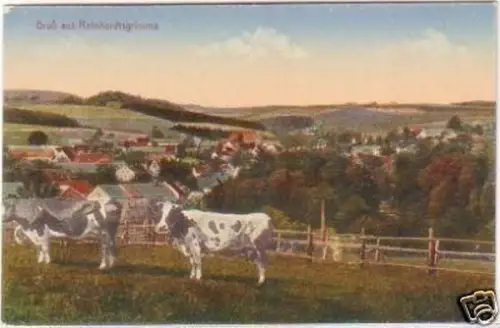 28422 Ak Gruß aus Reinhardtsgrimma Totalansicht um 1920