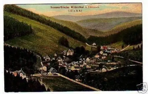 32098 Ak Sommerfrische Wildenthal bei Eibenstock um1920