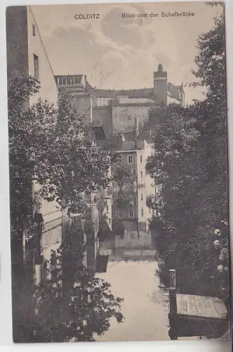 68986 Ak Colditz Blick von der Schafbrücke 1918