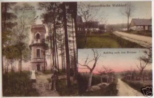 07586 Mehrbild Ak Sommerfrische Walddorf 1923