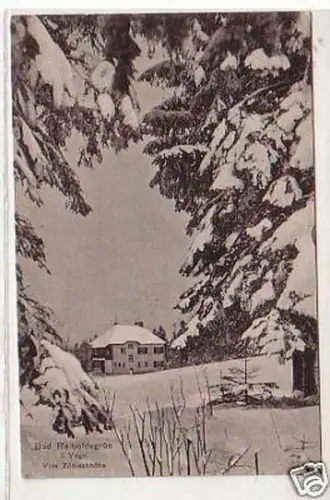 27284 Ak Bad Reiboldsgrün im Vogtland Villa Zöbischhöhe