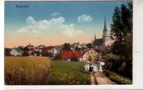 41951 Ak Burgstädt Totalansicht um 1910