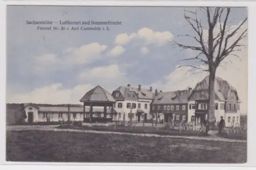 93508 Ak Sachsenhöhe Luftkurort und Sommerfrische bei Cunewalde 1923