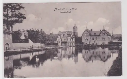 61786 AK Neustadt an der Orla - Gamsenteich, Café Klemm 1916