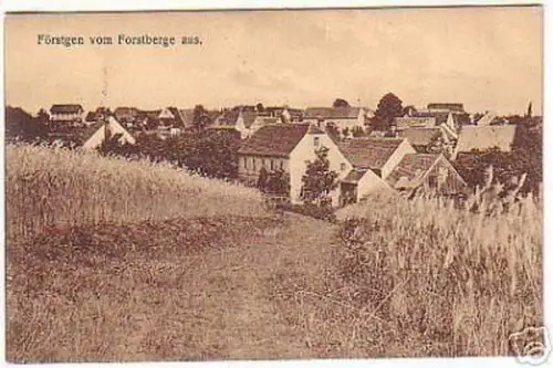 07012 Ak Förstgen b. Großbothen vom Forstberge aus 1911