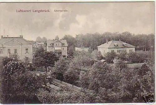 05144 Ak Luftkurort Langebrück Albertstrasse 1913