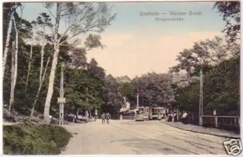 24768 Ak Loschwitz weisser Hirsch Mordgrundbrücke 1919