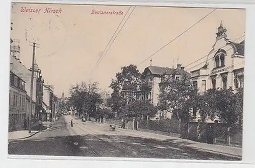 58925 Ak Weisser Hirsch Bautznerstrasse 1907
