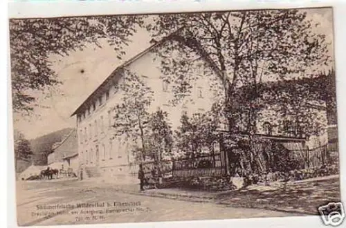 33569 Ak Sommerfrische Wildenthal bei Eibenstock 1905