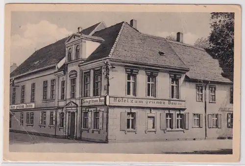 85635 Ak Wörlitz Hotel zum grünen Baum 1953