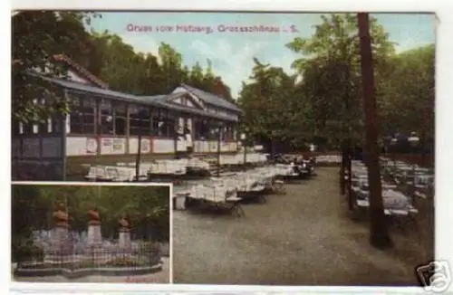07229 Ak Gruß vom Hutberg Grossschönau in Sa. 1909