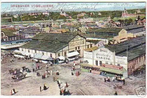 11226 Ak Dresdner Vogelwiese Totalansicht 1912