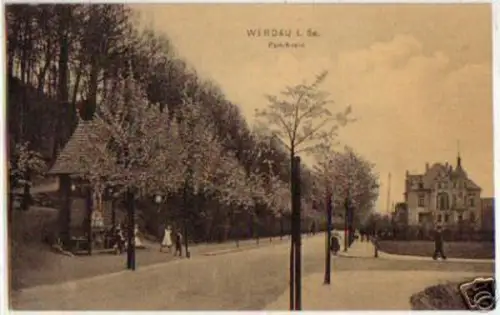 14431 Ak Werdau in Sachsen Parkstrasse 1910