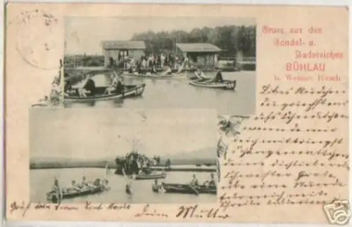 13429 Ak Gruss aus Bühlau b. Weisser Hirsch 1903