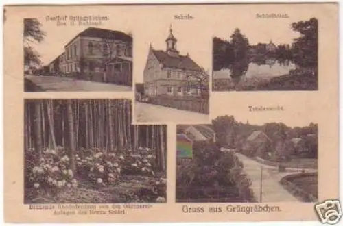 23864 Mehrbild-Ak Gruss aus Grüngräbchen um 1910