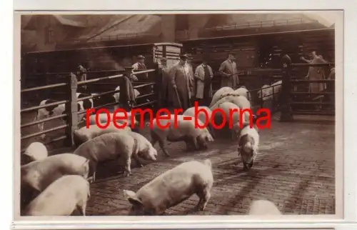 80128 Foto Ak Vieh u. Schlachthof Leipzig: Ausladen von Kleinvieh um 1940