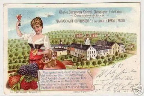 03581 Ak Plantagengut Göppersdorf bei Burgstädt 1902
