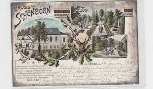 35549 Ak Lithographie Gruß aus Schönborn 1902