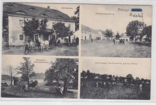 70117 Mehrbild Ak Rittergut Niederhof Schweinezucht, Herdbuchvieh usw. 1920