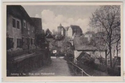 48870 Ak Leisnig i. Sa. Blick vom Malerwinkel um 1950