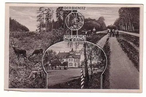 49372 Ak Kurhaus zum Bienitz um 1920