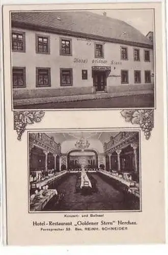 44690 Ak Nerchau Hotel Restaurant "Goldener Stern" 1920