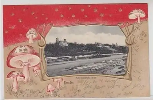 50255 Pilz Präge Ak Dresden Albrechtsschlösser 1904