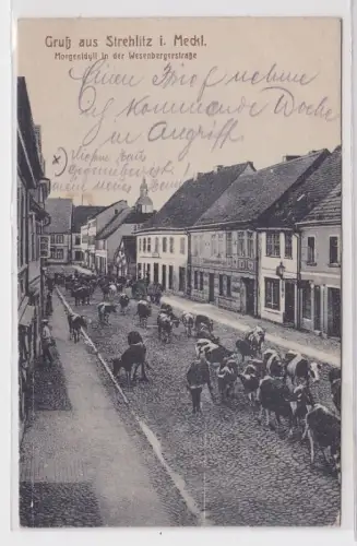 88740 Ak Gruß aus Strelitz in Mecklenburg Morgenidyll in der Wesenbergerstraße