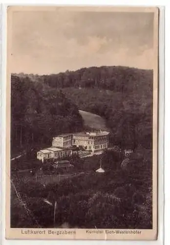 16606 Ak Bergzabern Kurhotel Eich Westenhöfer um 1930