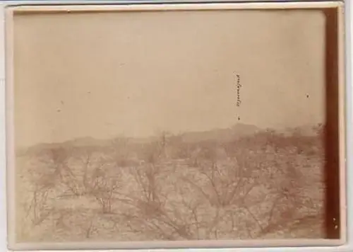 34775 Foto Kolonie DSWA von Punkt Apokane um 1910
