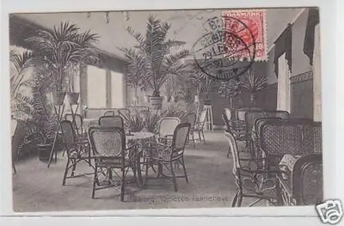 33397 Ak Aalborg Varietes Palmehave Dänemark 1908