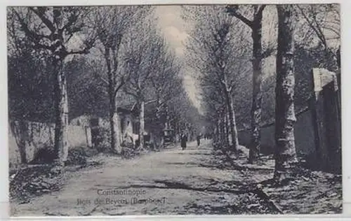 02515 Ak Constantinople in der Türkei Bois de Beycos (Bosphore) um 1910
