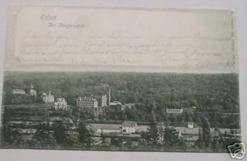 schöne Ak Erfurt der Steigerwald Totalansicht 1902