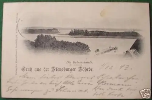 schöne Ak Gruß aus der Flensburger Föhrde 1897