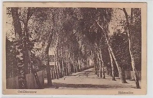 61834 Ak Ostseebad Ost-Dievenow Birkenallee 1928